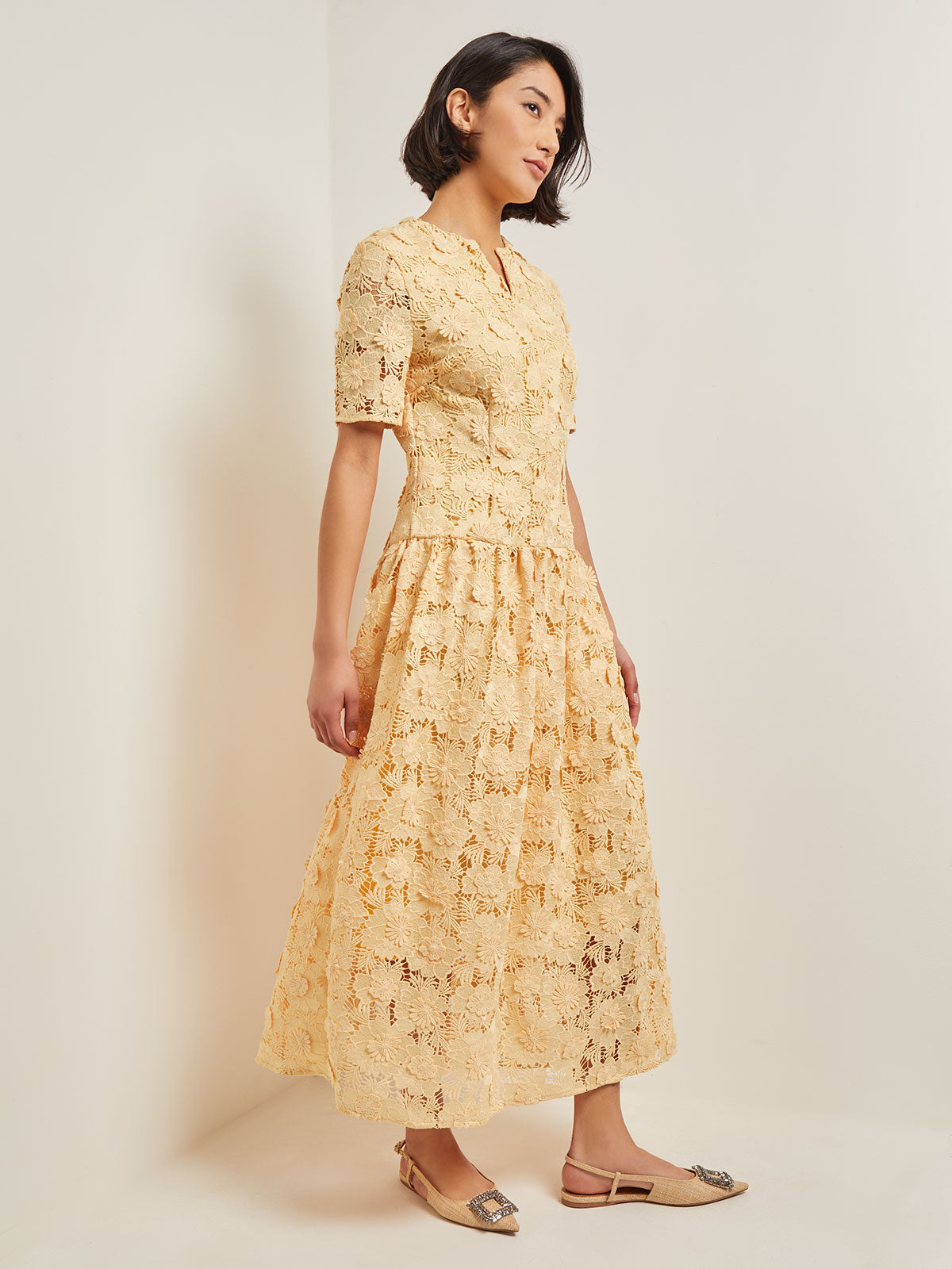Petite Floral Applique On Lace Woven Midi Dress